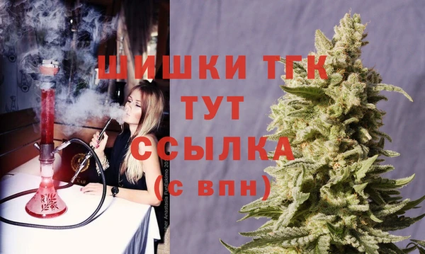 меф Арсеньев