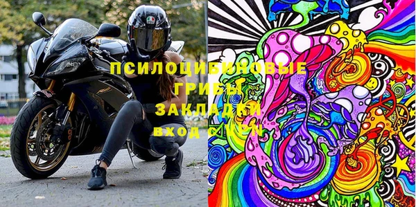 винт Аркадак