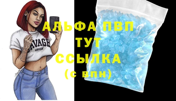 PSILOCYBIN Нефтекумск