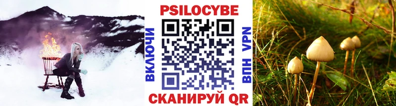 Галлюциногенные грибы мухоморы мега tor Талица купить